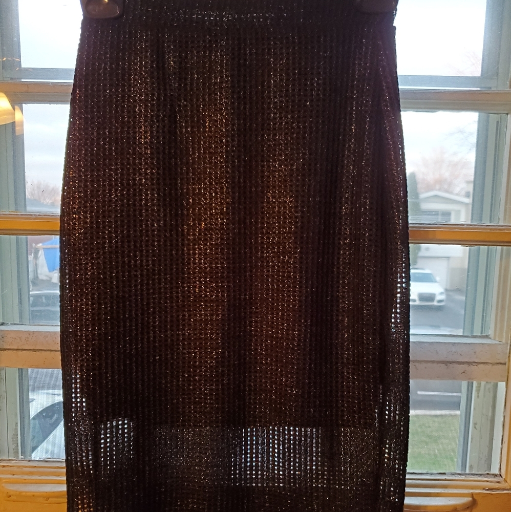 Charlotte Russe metallic skirt